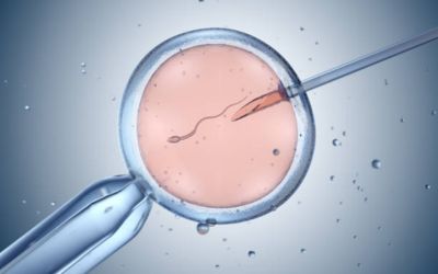 FERTILITY TREATMENT